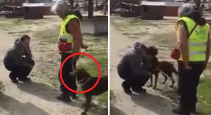 Een man vindt zijn hond terug na 2 jaar: hun weerzien is aangrijpend!