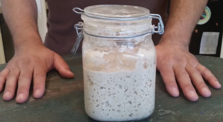 DIY wild yeast starter! Yes, you can make your own!
