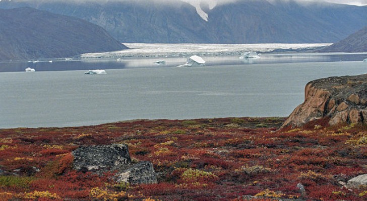 Das Schmelzen der Gletscher könnte Viren und Bakterien freisetzen, die im Permafrost versteckt sind