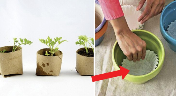 Discover how to drill drainage holes in clay pots!