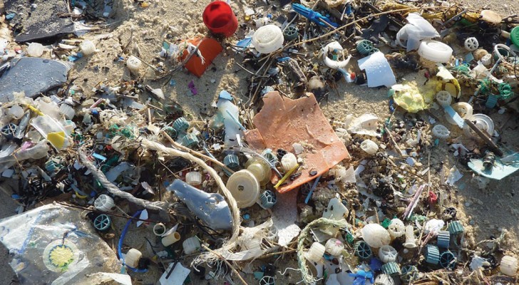 Not even this remote island can escape plastic litter! Incredible!