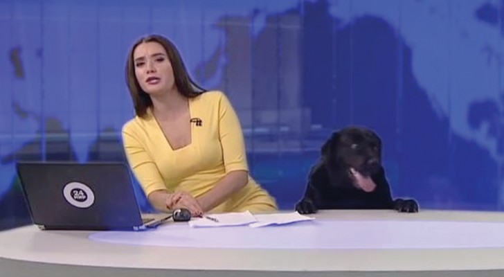 An unexpected guest appears during a Russian TV news broadcast!