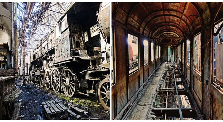 Le cimetière des trains en Hongrie: perdez-vous dans cet endroit fascinant et silencieux