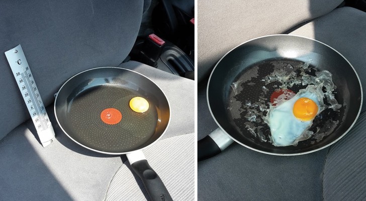 L'expérimentation de l’œuf qui nous explique ce qui se passe quand nous laissons les animaux dans la voiture