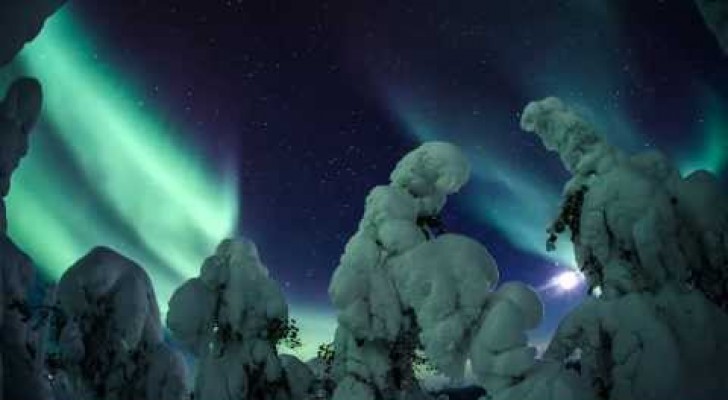Un spectacle naturel en Laponie 