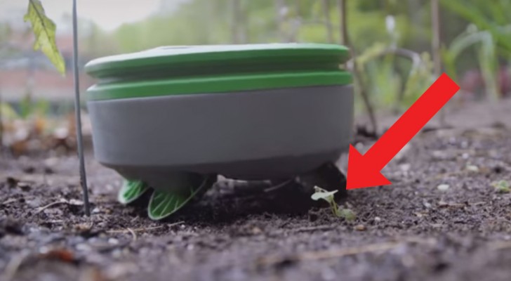 As ervas daninhas crescem muito rápido? Este robô vai fazer o trabalho por você!