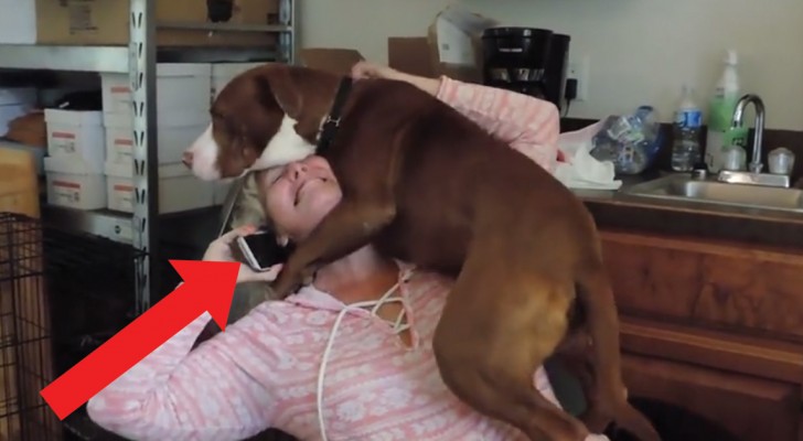 This rescued dog is very happy -- and he shows it! :)