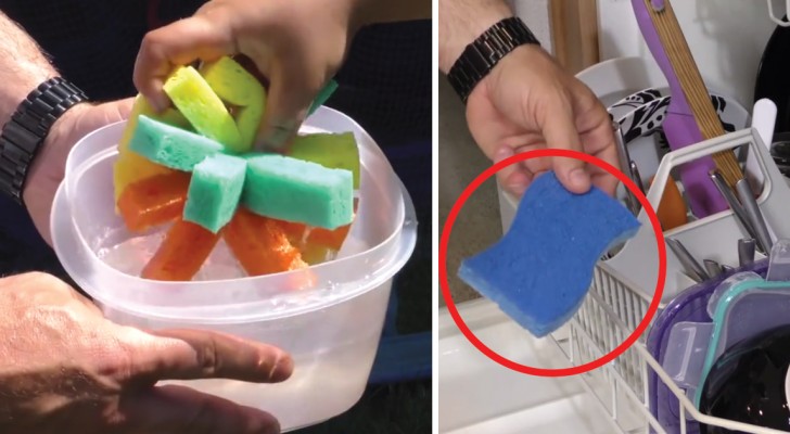 Discover how to use and clean kitchen sponges!