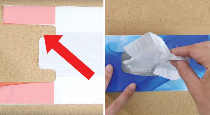 Rettet euch vor dem Chaos der Plastiktüten, indem ihr diese 3 einfachen Methoden lernt, um sie zu ordnen