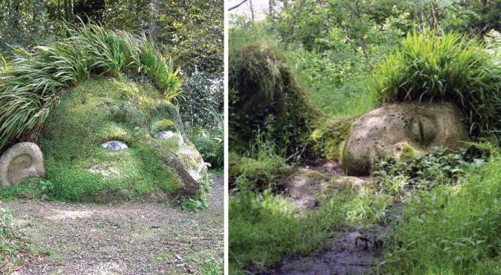 I giardini perduti di Heligan, la meraviglia che dopo anni di decadenza ha ritrovato il proprio splendore