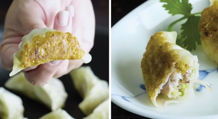Steam Fried Dumplings --- Here is how to prepare this tasty dish at home