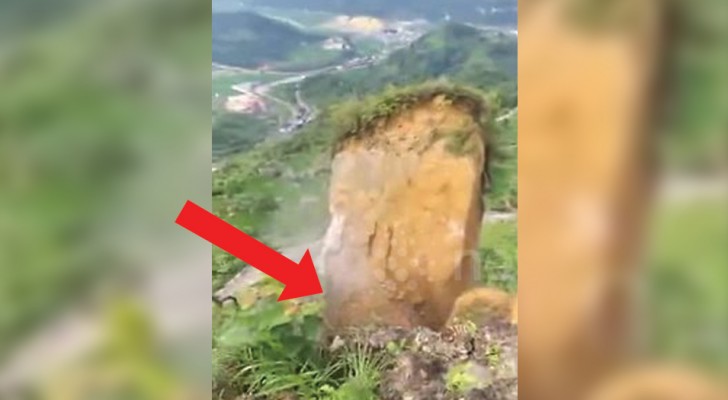  In China, a mountain landslide covers part of a forest!