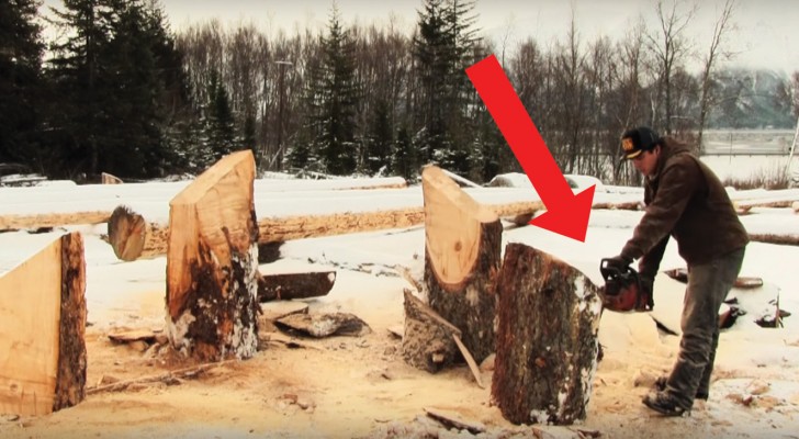 Jordan Anderson transforms tree trunks into art!