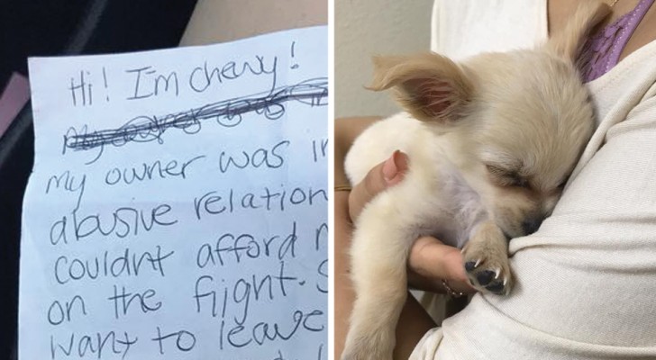 Oppressée par une relation violente, une femme décide d'abandonner son chien pour éviter qu'il soit maltraité