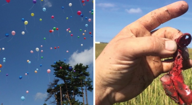 Liberare palloncini in aria non è un gesto innocuo: ecco perché non andrebbe MAI fatto