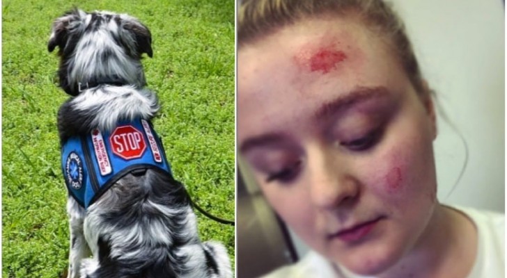 La storia di questa ragazza ci spiega perché i cani guida NON devono essere accarezzati