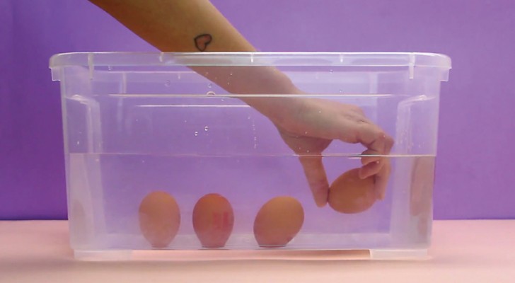 Några kulinariska tricks med ägg som du vill göra med en gång