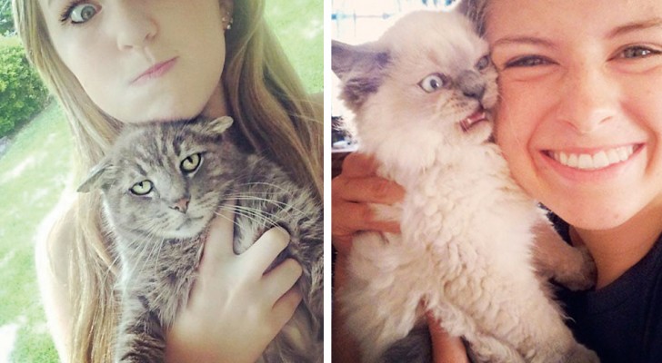 25 katten die niet mee wilde werken aan een selfie zorgden voor hilarische kiekjes.