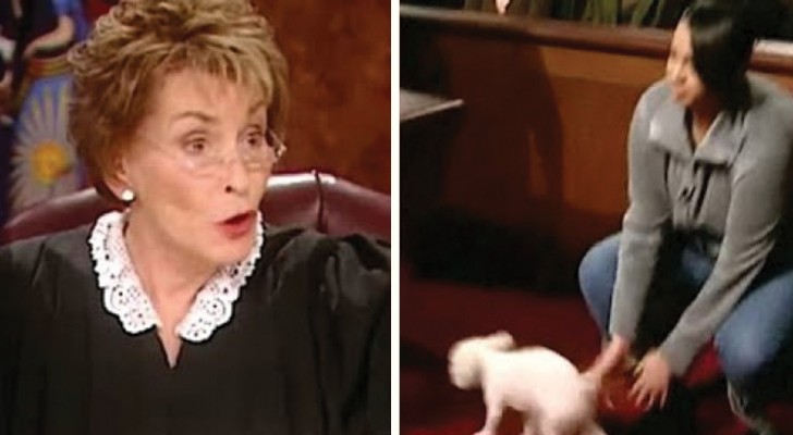 Zwei Personen beanspruchen den Besitz des gleichen Hundes: die geniale Idee der Richterin lässt keine Zweifel