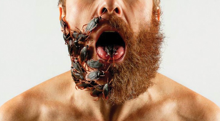 Un microbiologo rivela che la barba lunga può essere più sporca di un... bagno