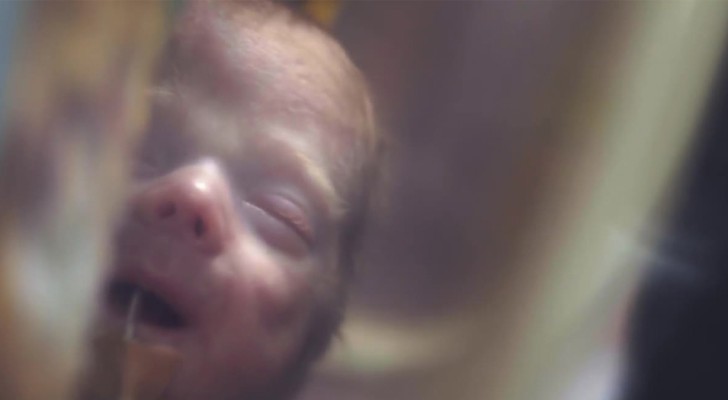 Neo mamme e papà di bambini prematuri: questa pubblicità vi riempirà il cuore di emozione