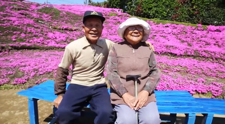 Questo amorevole marito ha passato 2 anni a piantare fiori per la moglie non vedente