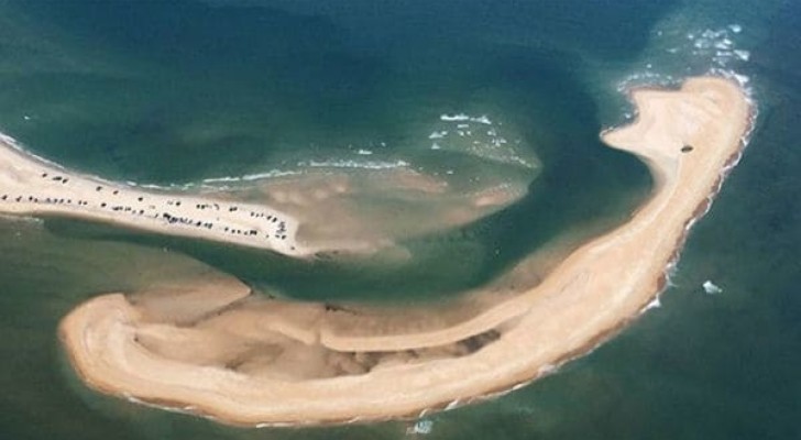 Veja a nova e perigosa ilha que apareceu no Triângulo das Bermudas!