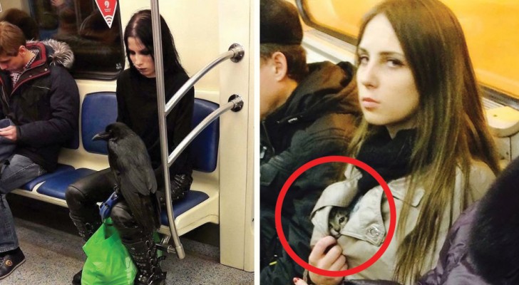Algumas das cenas mais absurdas que aconteceram no metrô!