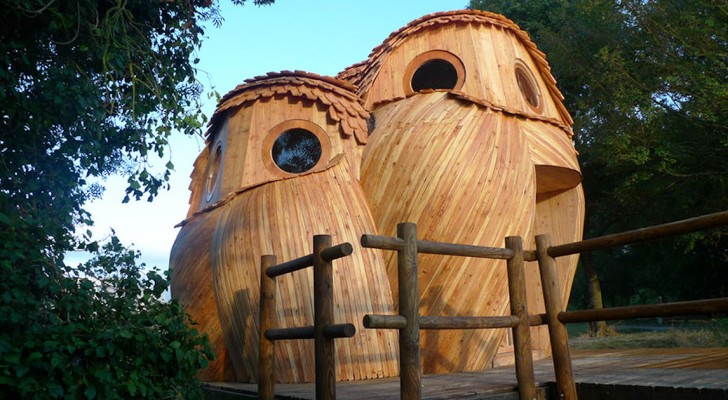 Vous pouvez dormir dans ces hiboux en bois GRATUITEMENT et visiter le sud de la France: découvrez leur intérieur.