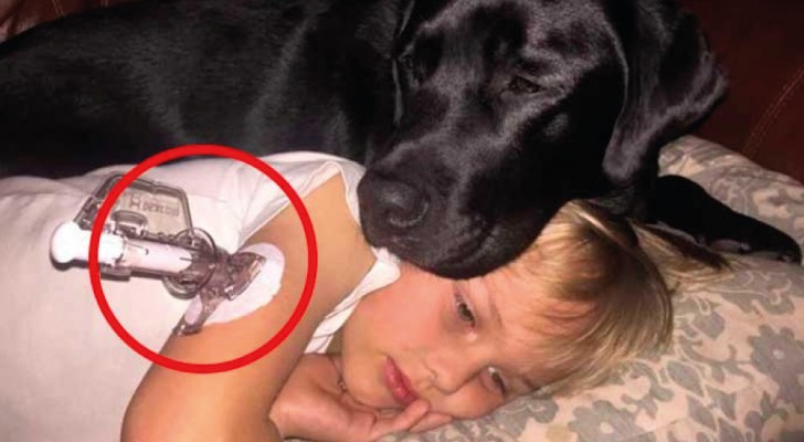Den här hunden väckte sin matte mitt i natten för att varna henne om att sonen mådde dåligt
