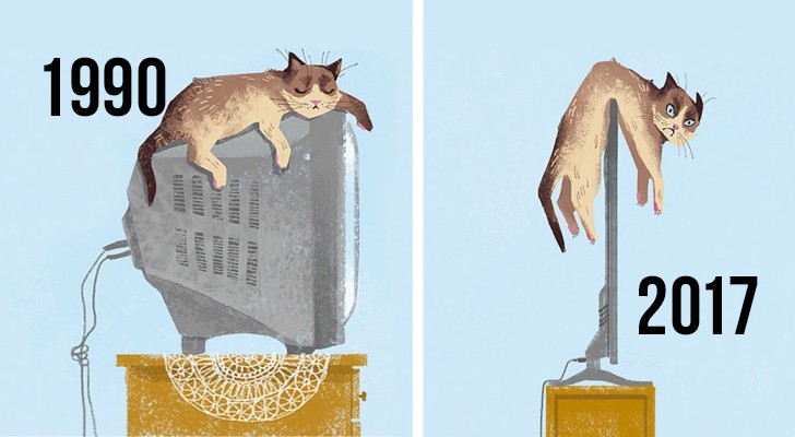 Ecco come è cambiata la vita dei gatti con l'arrivo della tecnologia