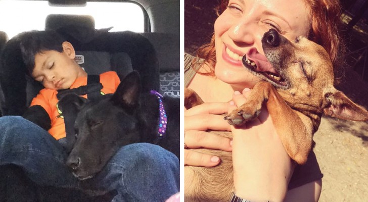24 persone fotografate nel momento in cui hanno conosciuto il loro cane: le facce dicono tutto!