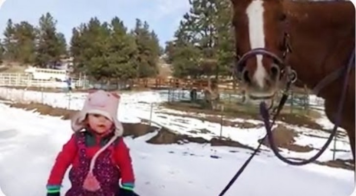 Emma und ihr Pferd sind die besten Freunde