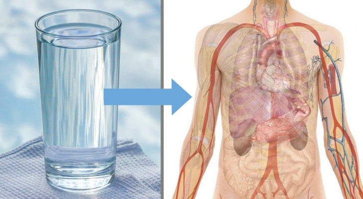 Ecco cosa accade al tuo corpo se sostituisci tutte le bevande con l'acqua