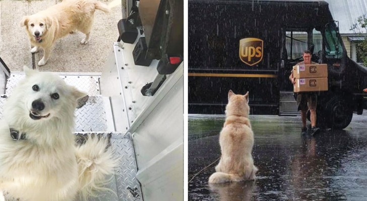 Er is een Facebookpagina waarop UPS-koeriers foto's plaatsen van de honden die ze tegenkomen tijdens hun werk
