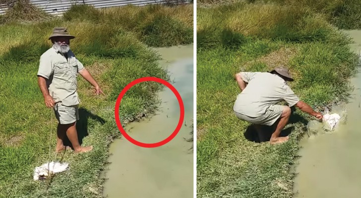 He approaches a quiet marsh area and shows us what lies under the pool of water ...