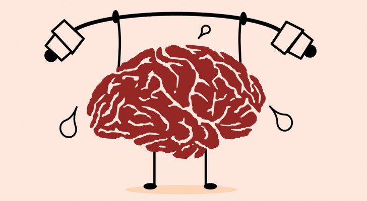 10 fatti riguardo al cervello umano che probabilmente non sapevi