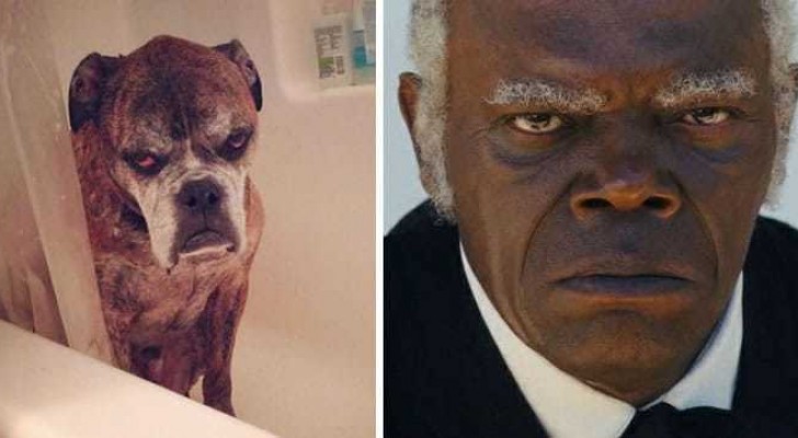 11 Famous people who have a double ...that just happens to be an animal!