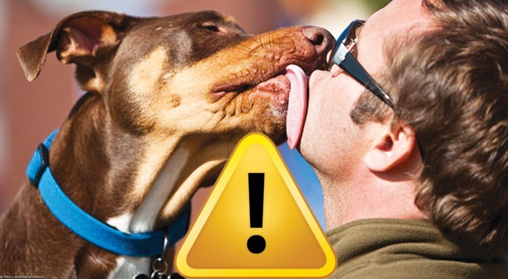 Mai baciare il tuo cane: ecco cosa rischi se lo fai