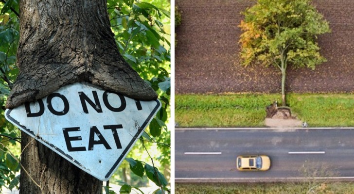 18 surreale Aufnahmen, die zeigen zu was die Natur in der Lage ist