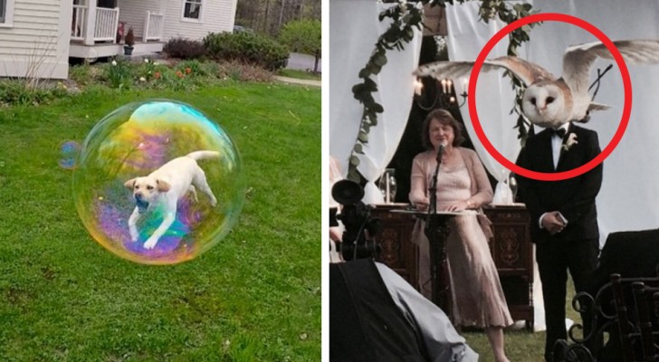 17 pictures that will show you what "coincidence" is capable of doing ...