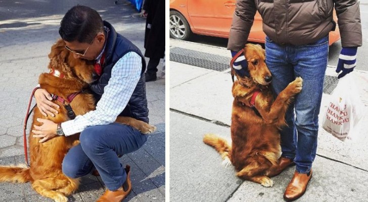 Este perro es conocido en todo el barrio por su curiosa pasion: abrazar a los transeuntes