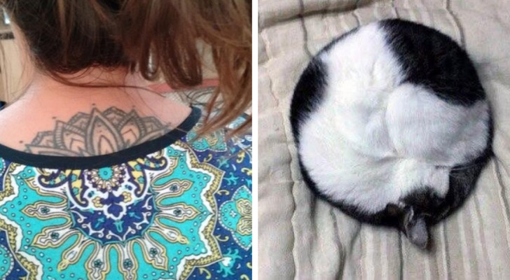 These 29 photos will give immense satisfaction to all perfectionists