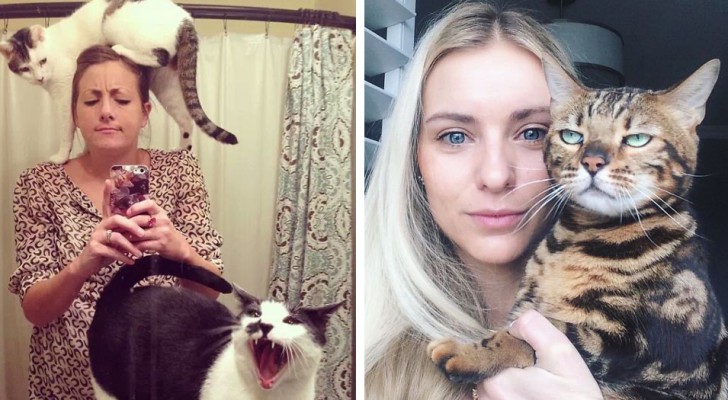 25 gatti che hanno provato in tutti i modi a farci capire quanto odiano i nostri selfie