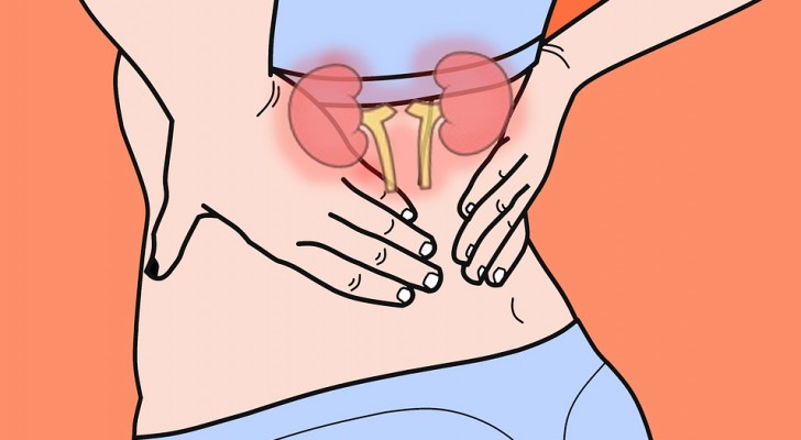 10 Signale des Körpers, die dich darüber informieren dass deine Nieren nicht richtig arbeiten