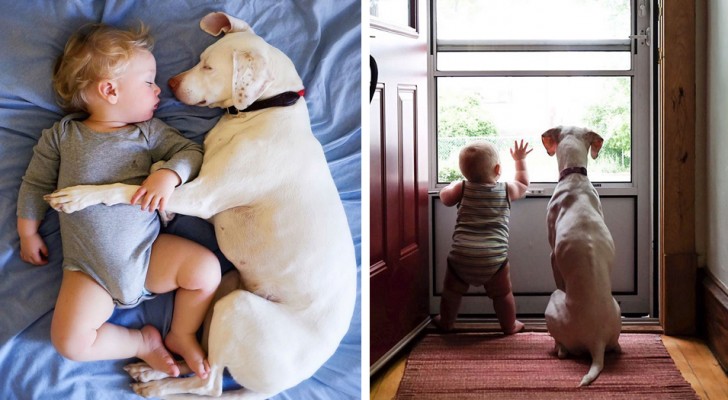 Deze mishandelde hond heeft rust gevonden naast een baby: de foto's van hun samen zijn schattig