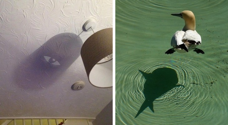 12 shadows that reveal the secret identities of their owners