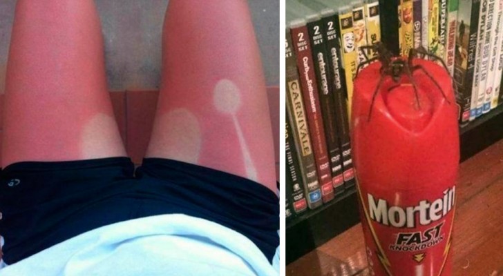 26 grappige foto's van mensen voor wie de dag op de meest slechte manier begon