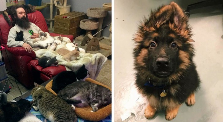 25 photos taken in animal shelters that show abandoned pets in need of love