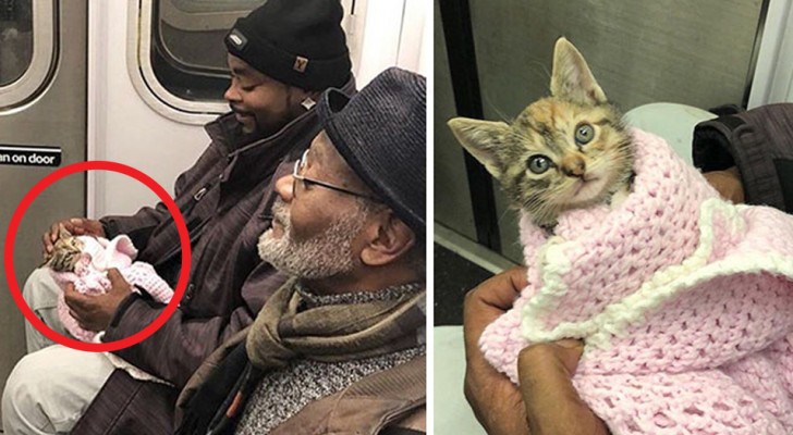 These news stories are so beautiful that they will make you smile ... and cry happy tears!